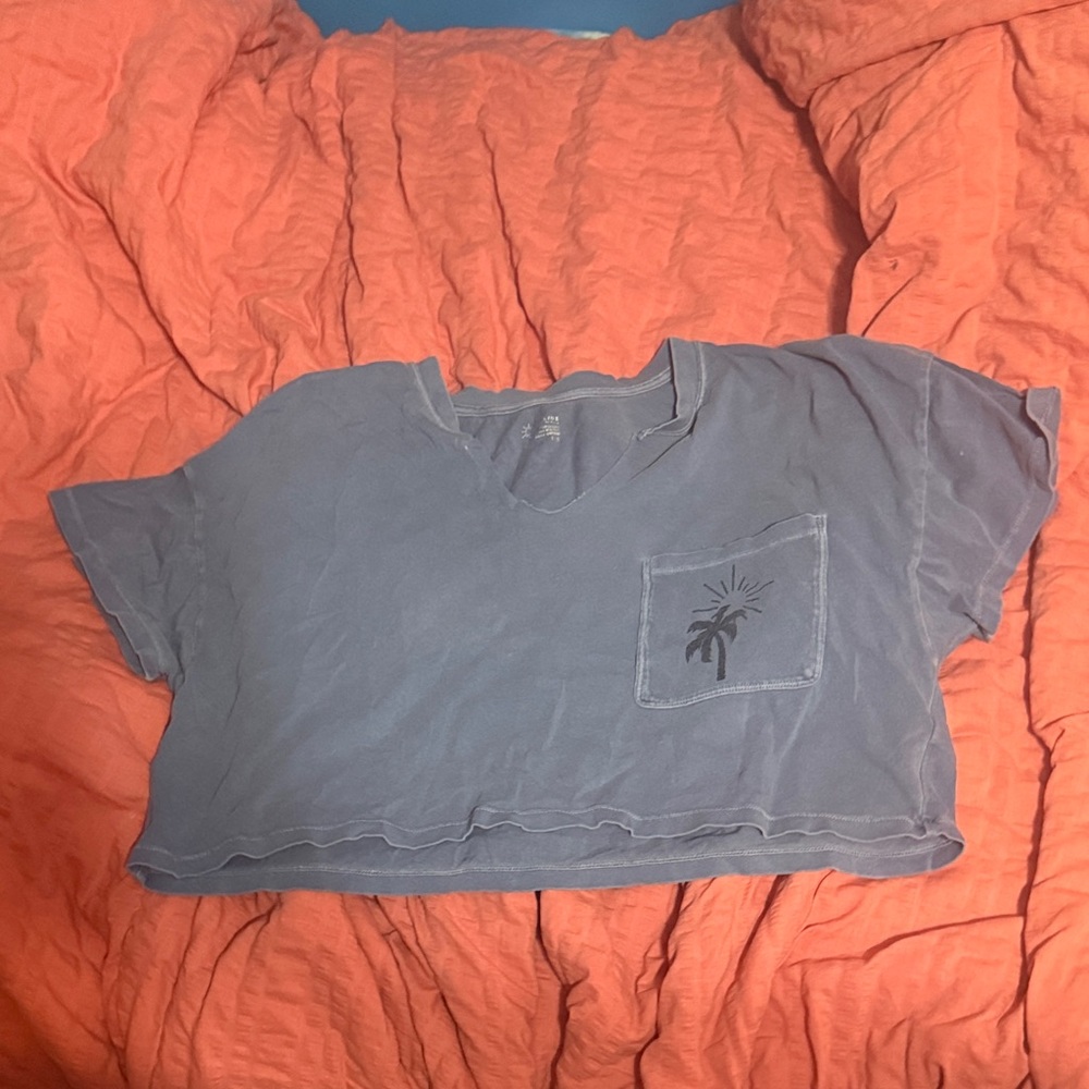 American Eagle Offline Cropped tshirt